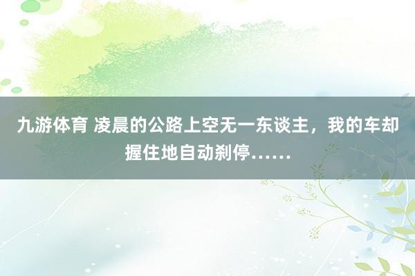 九游体育 凌晨的公路上空无一东谈主，我的车却握住地自动刹停……