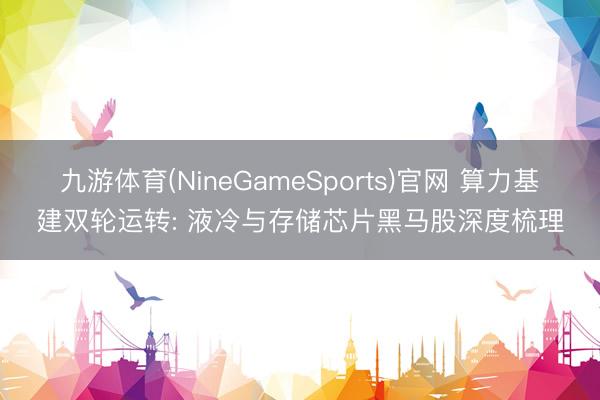 九游体育(NineGameSports)官网 算力基建双轮运转: 液冷与存储芯片黑马股深度梳理