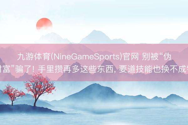 九游体育(NineGameSports)官网 别被“伪财富”骗了! 手里攒再多这些东西， 要道技能也换不成钱