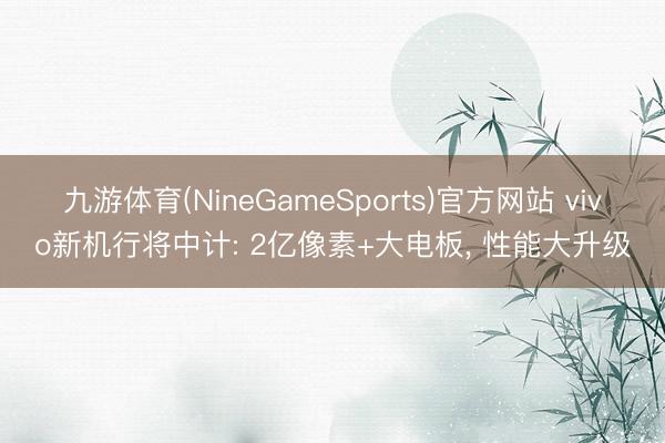 九游体育(NineGameSports)官方网站 vivo新机行将中计: 2亿像素+大电板， 性能大升级