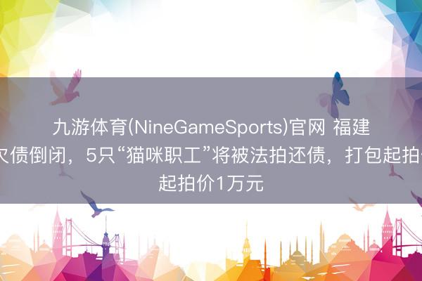 九游体育(NineGameSports)官网 福建一公司欠债倒闭，5只“猫咪职工”将被法拍还债，打包起拍价1万元