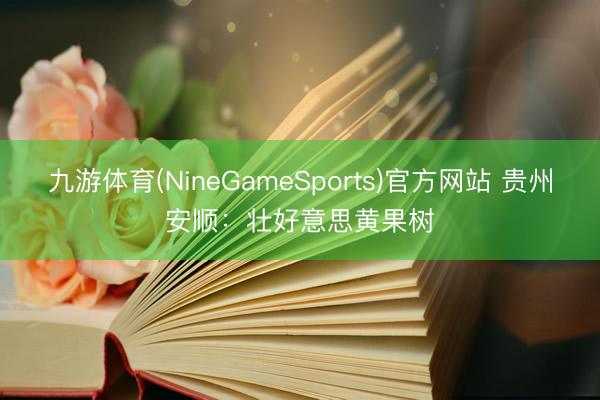 九游体育(NineGameSports)官方网站 贵州安顺:壮好意思黄果树