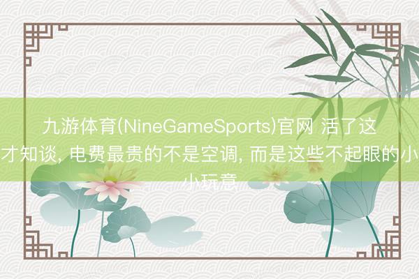 九游体育(NineGameSports)官网 活了这样久才知谈， 电费最贵的不是空调， 而是这些不起眼的小玩意
